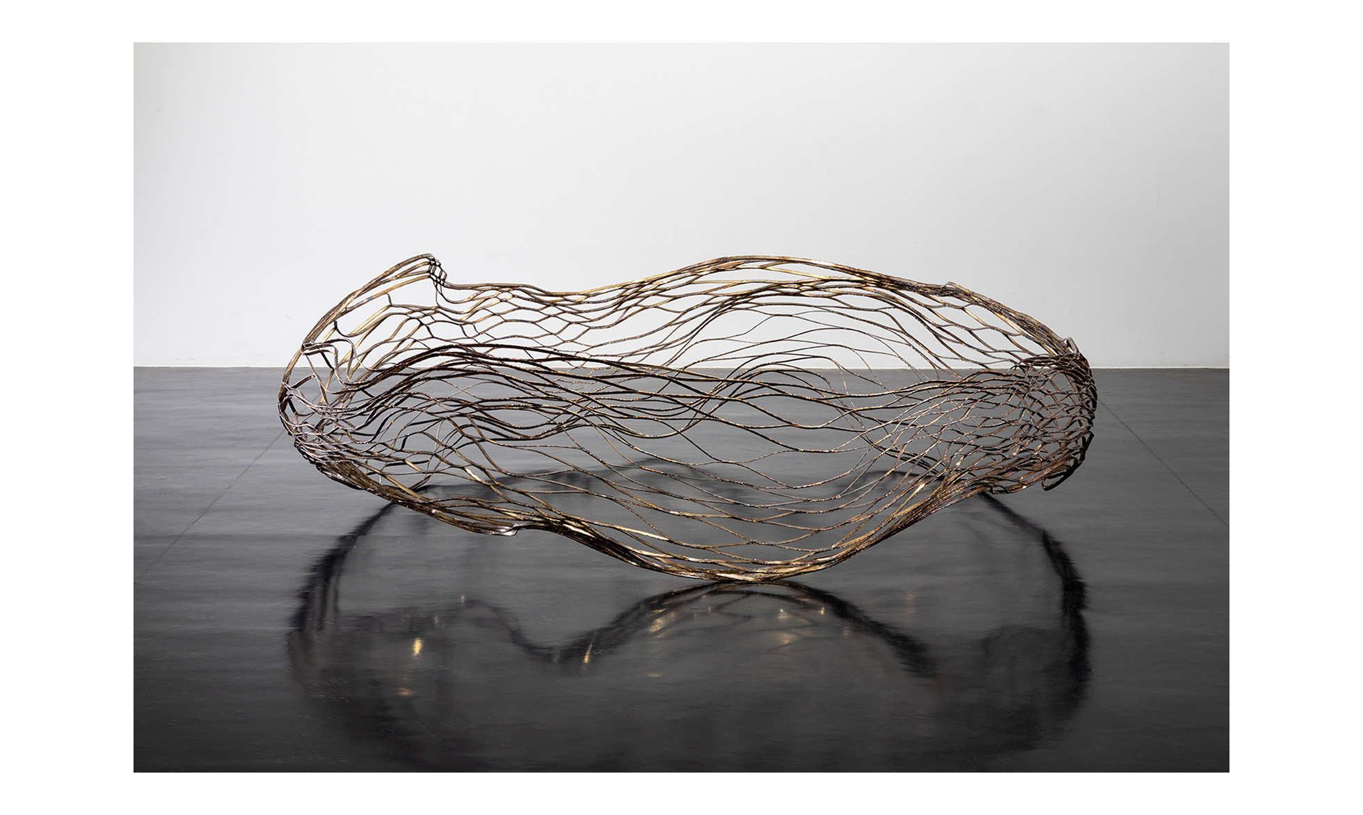 古井 彩夏 FURUI Ayaka（第47回　立体）