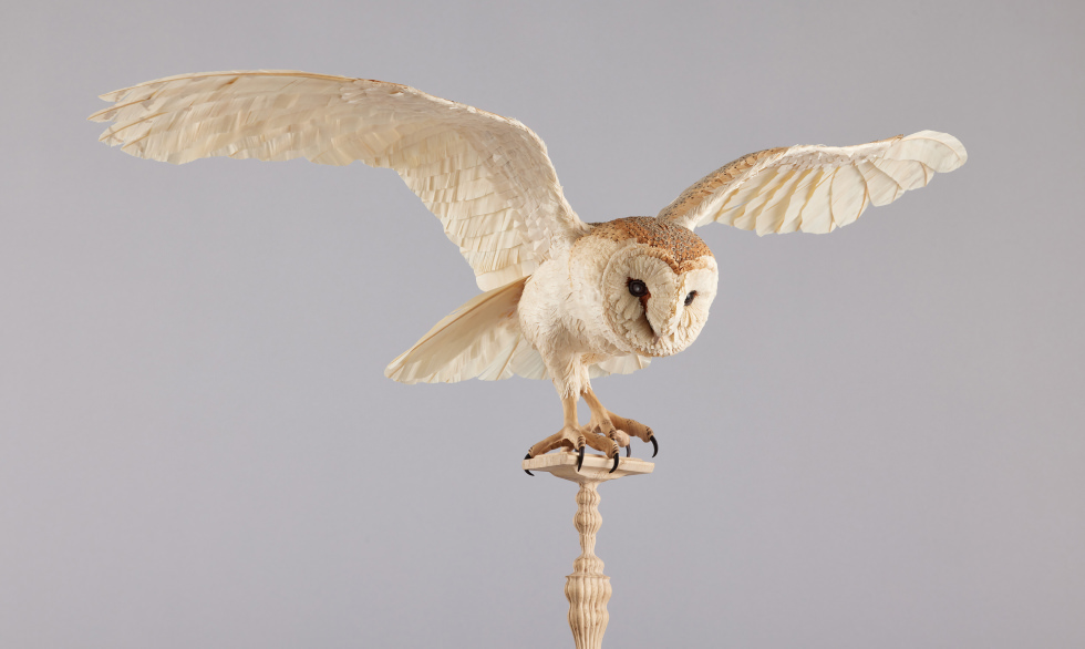 鷲野 愛未 WASHINO Manami（第59回　工芸）