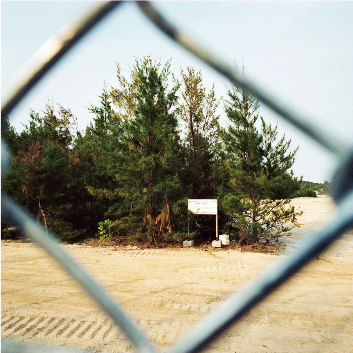 當麻 妙 TOMA Tae（第58回　写真）