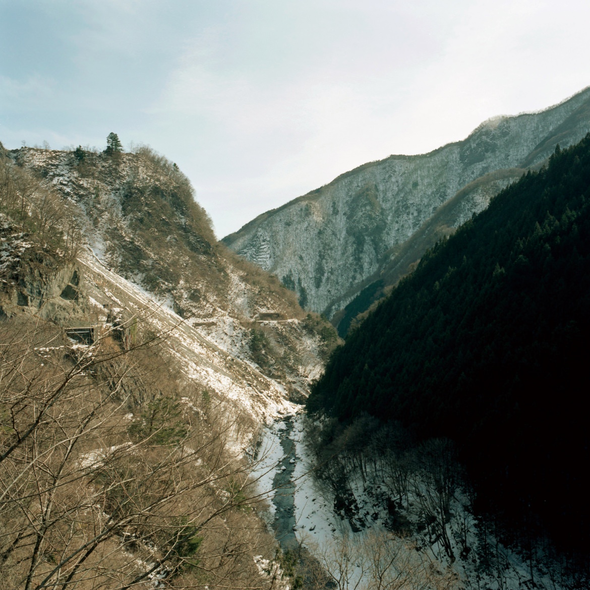 當麻 妙 TOMA Tae（第58回　写真）